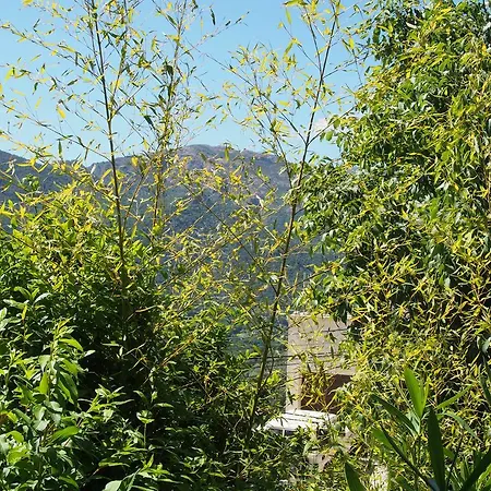 Maison De - Casa Mezanaccia Avec Terrasse Fleurie Meuble Tourisme 3 Etoiles Santa-Lucia-di-Tallano