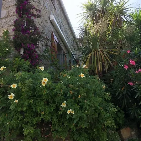 Διαμέρισμα Maison De - Casa Mezanaccia Avec Terrasse Fleurie Meuble Tourisme 3 Etoiles Santa-Lucia-di-Tallano