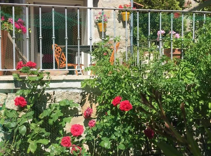 Maison De - Casa Mezanaccia Avec Terrasse Fleurie Meuble Tourisme 3 Etoiles