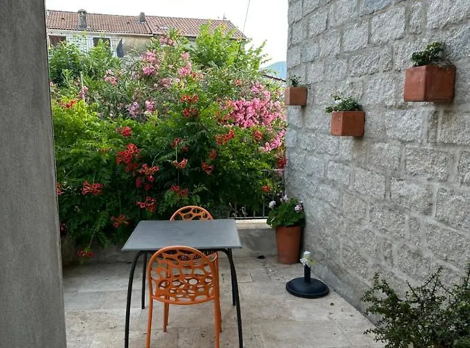 Maison De - Casa Mezanaccia Avec Terrasse Fleurie Meuble Tourisme 3 Etoiles Lägenhet