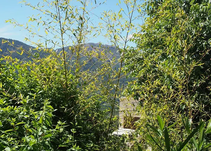 Maison De - Casa Mezanaccia Avec Terrasse Fleurie Meuble Tourisme 3 Etoiles Santa-Lucia-di-Tallano