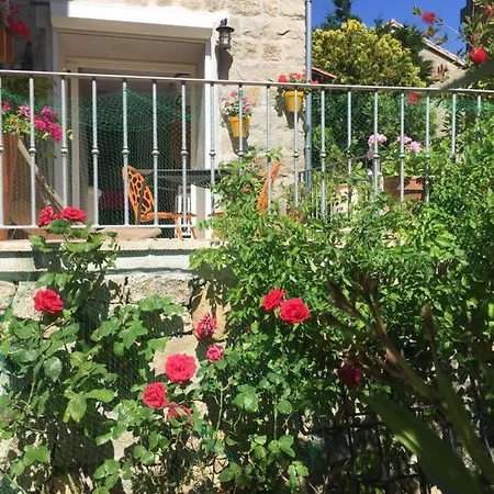 Maison De - Casa Mezanaccia Avec Terrasse Fleurie Meuble Tourisme 3 Etoiles