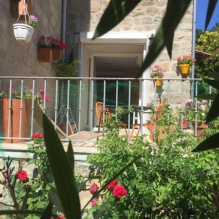 Maison De - Casa Mezanaccia Avec Terrasse Fleurie Meuble Tourisme 3 Etoiles * Santa-Lucia-di-Tallano