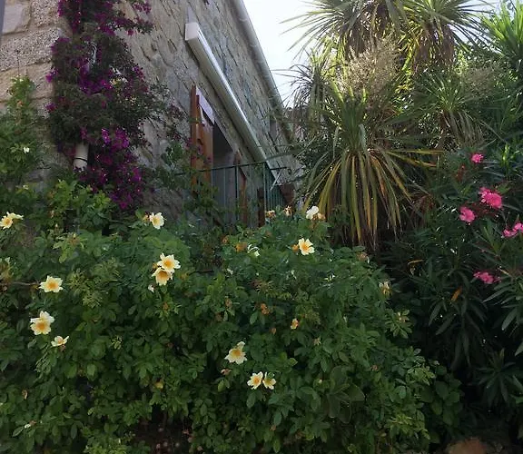 Apartmán Maison De - Casa Mezanaccia Avec Terrasse Fleurie Meuble Tourisme 3 Etoiles Santa-Lucia-di-Tallano