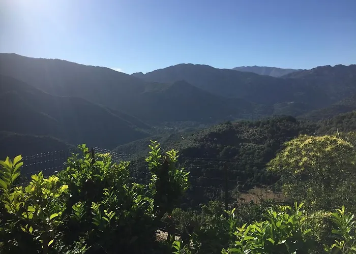 Apartmán Maison De - Casa Mezanaccia Avec Terrasse Fleurie Meuble Tourisme 3 Etoiles *